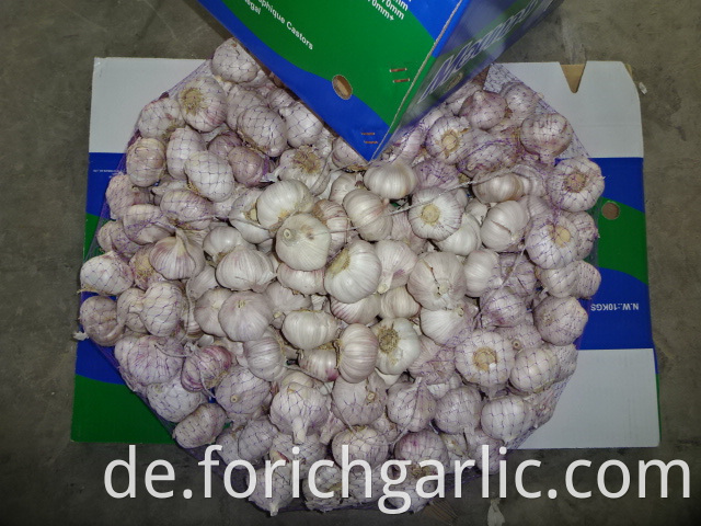 Fresh Normal White Garlic